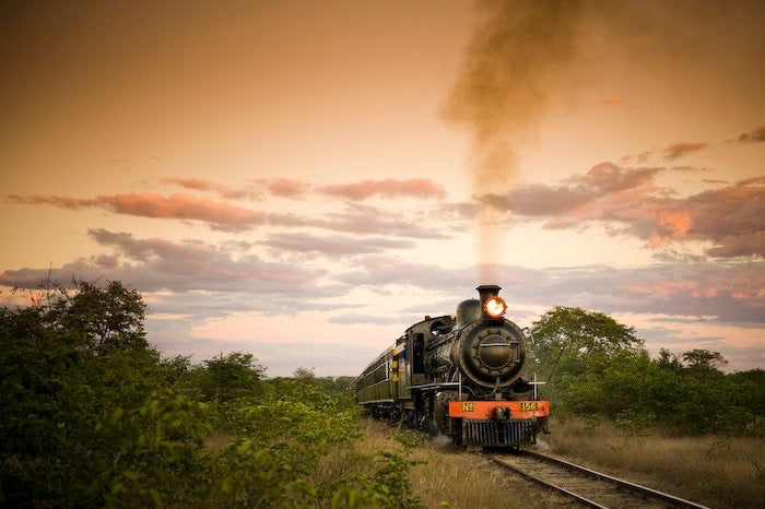 Royal Livingstone Express