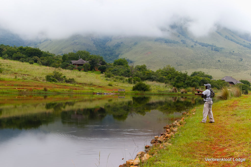 Fly fishing for trout