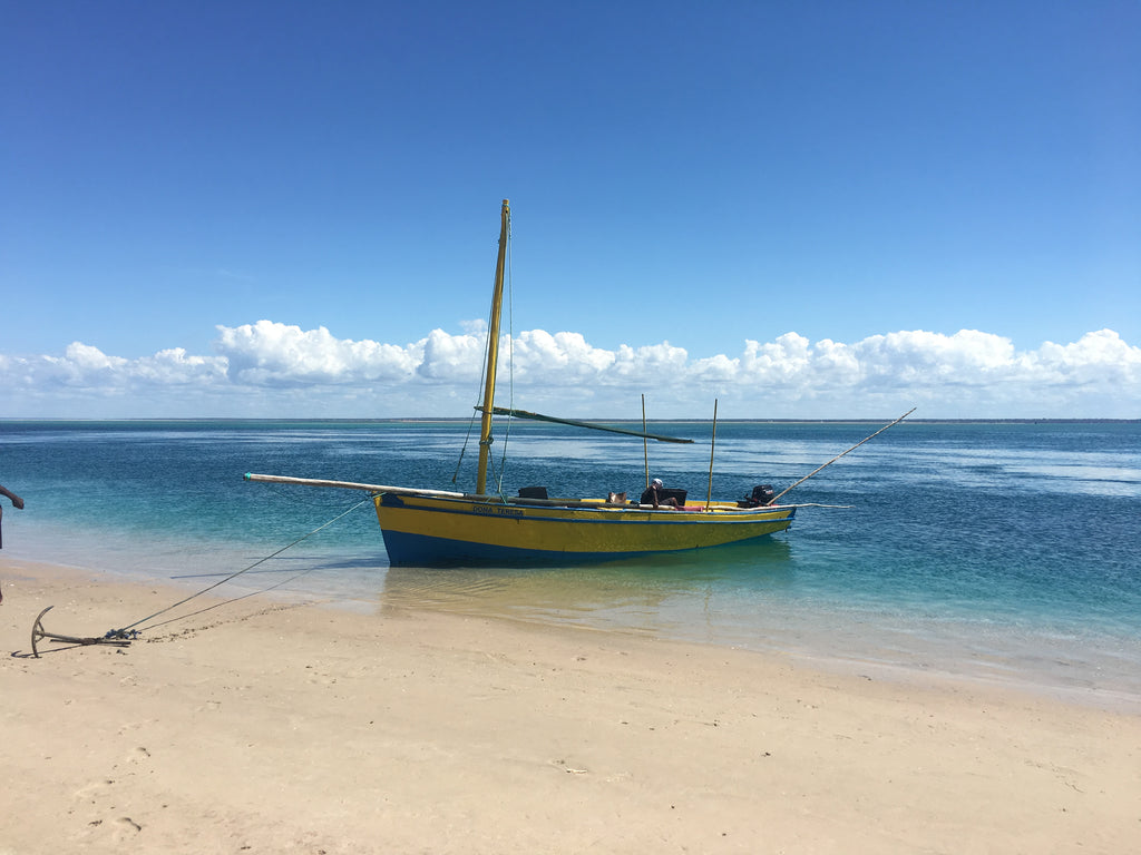 Sailaway Dhow Safaris