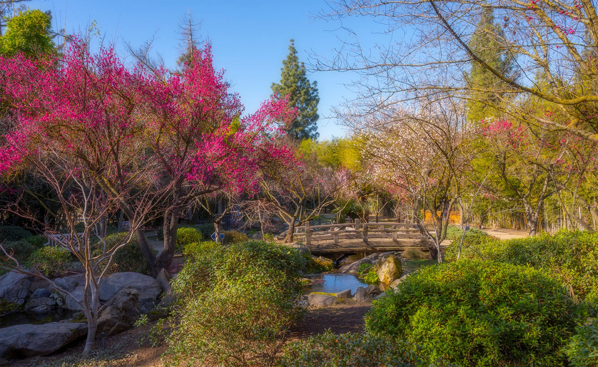 Shinzen Friendship Garden Inc