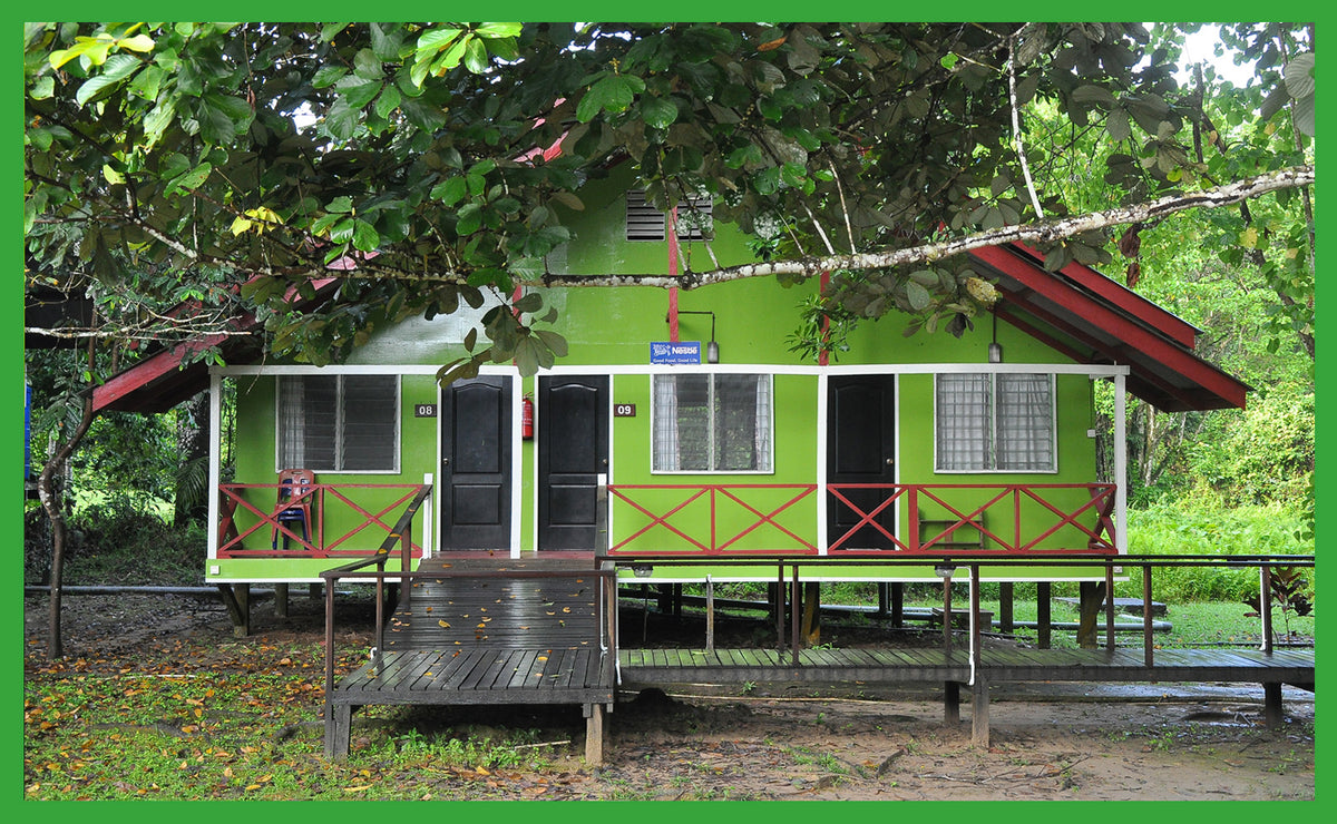 Sukau Greenview Bed & Breakfast