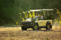 Safaris