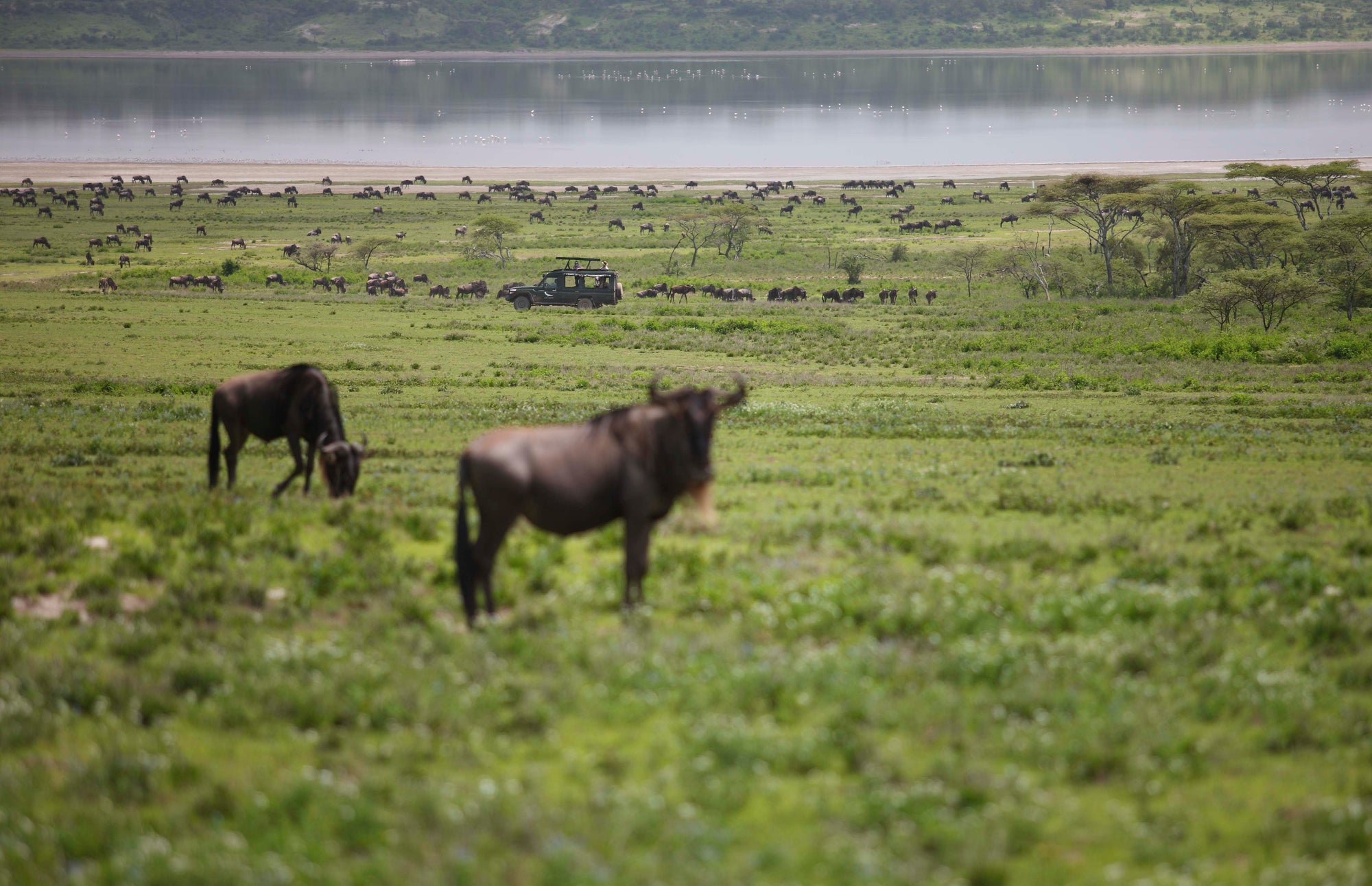 &Beyond Serengeti Under Canvas