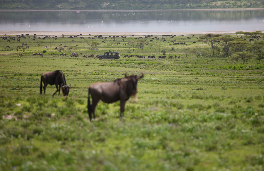 &Beyond Serengeti Under Canvas