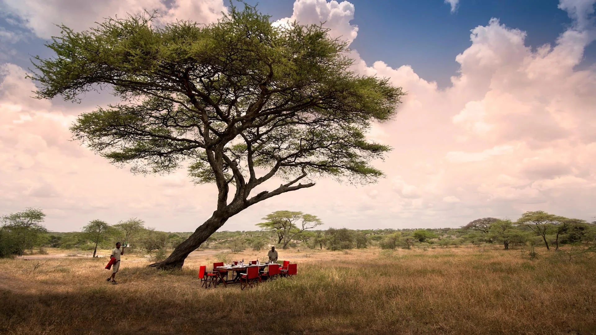 &Beyond Serengeti Under Canvas at andBeyond Serengeti Under Canvas, Southern Serengeti, Tanzania.