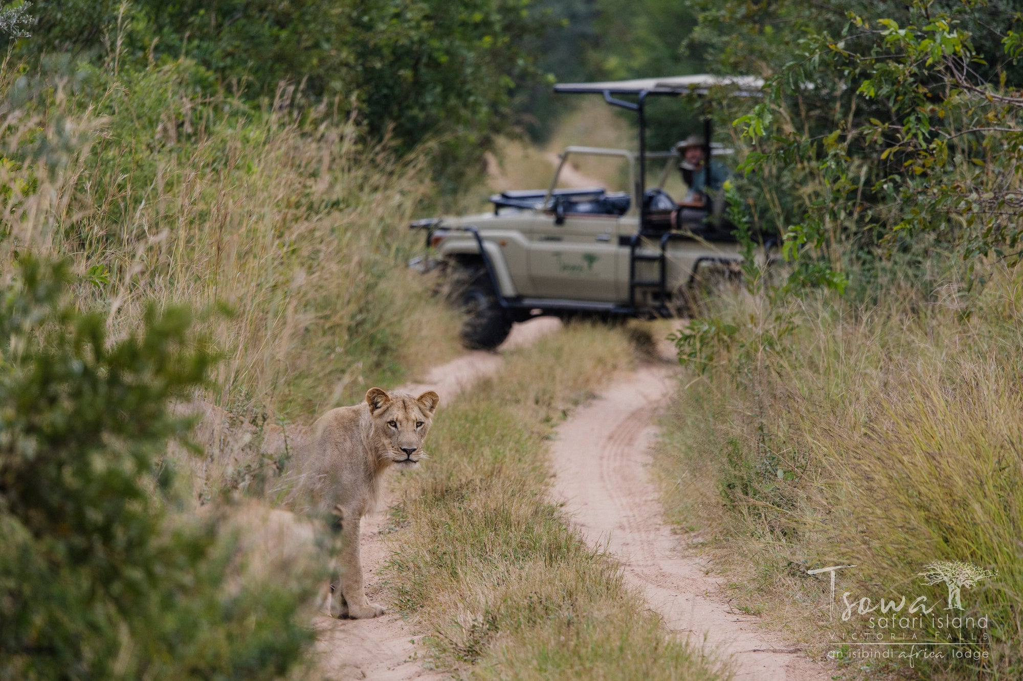 Game drive