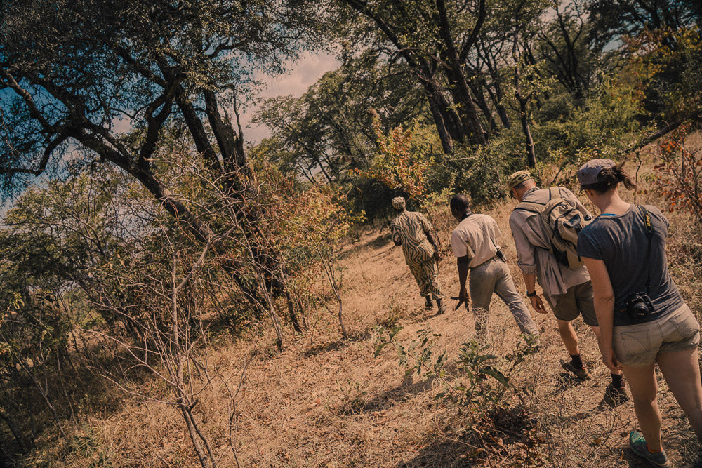 Bush Walks