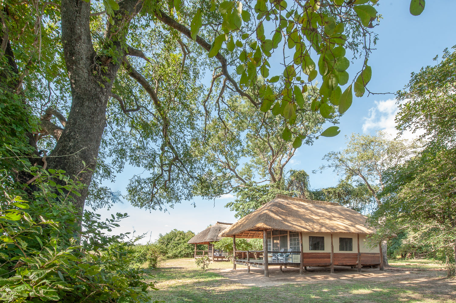 Kafunta Standard Chalet