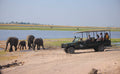 Chobe Under Canvas