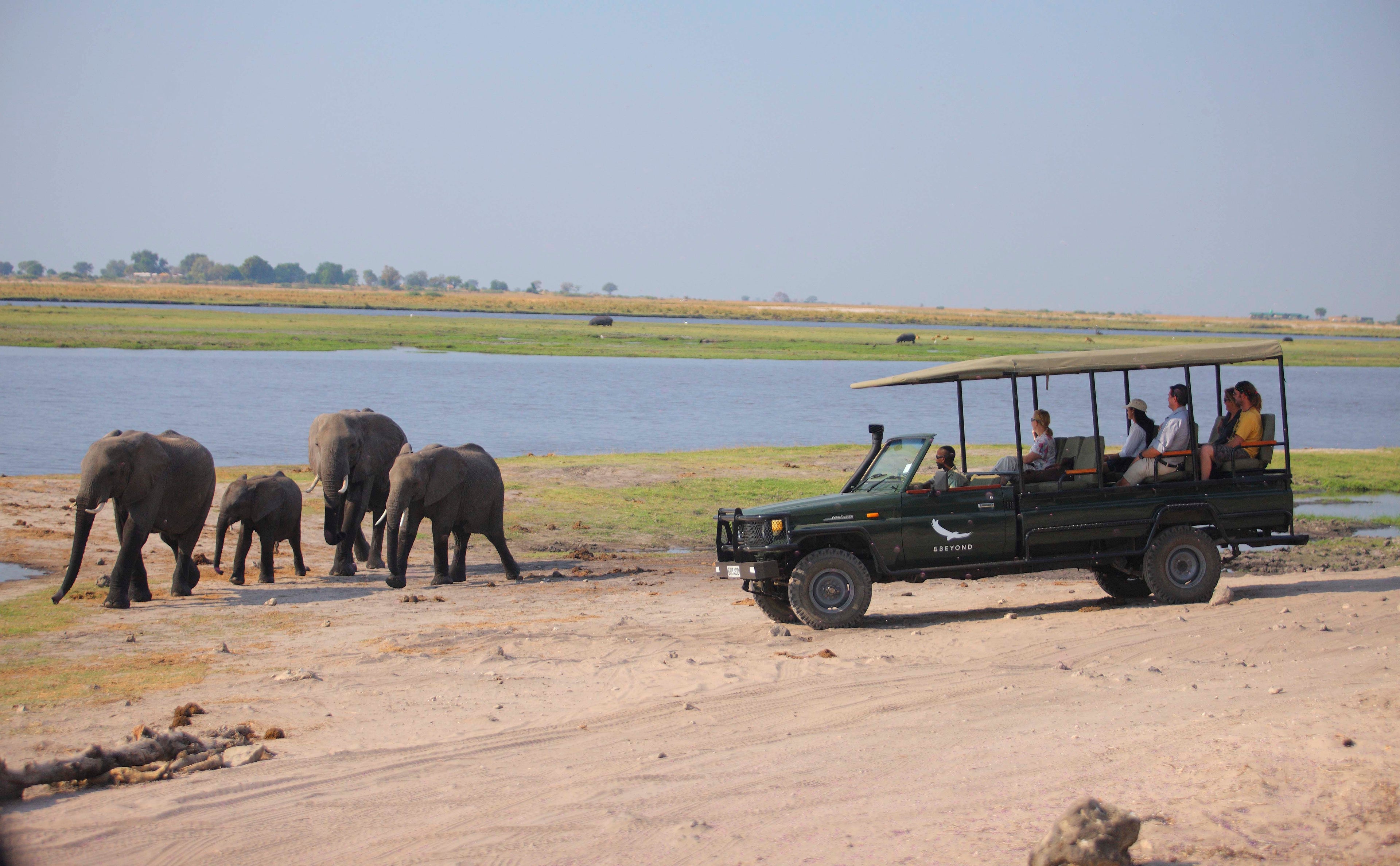 Chobe Under Canvas