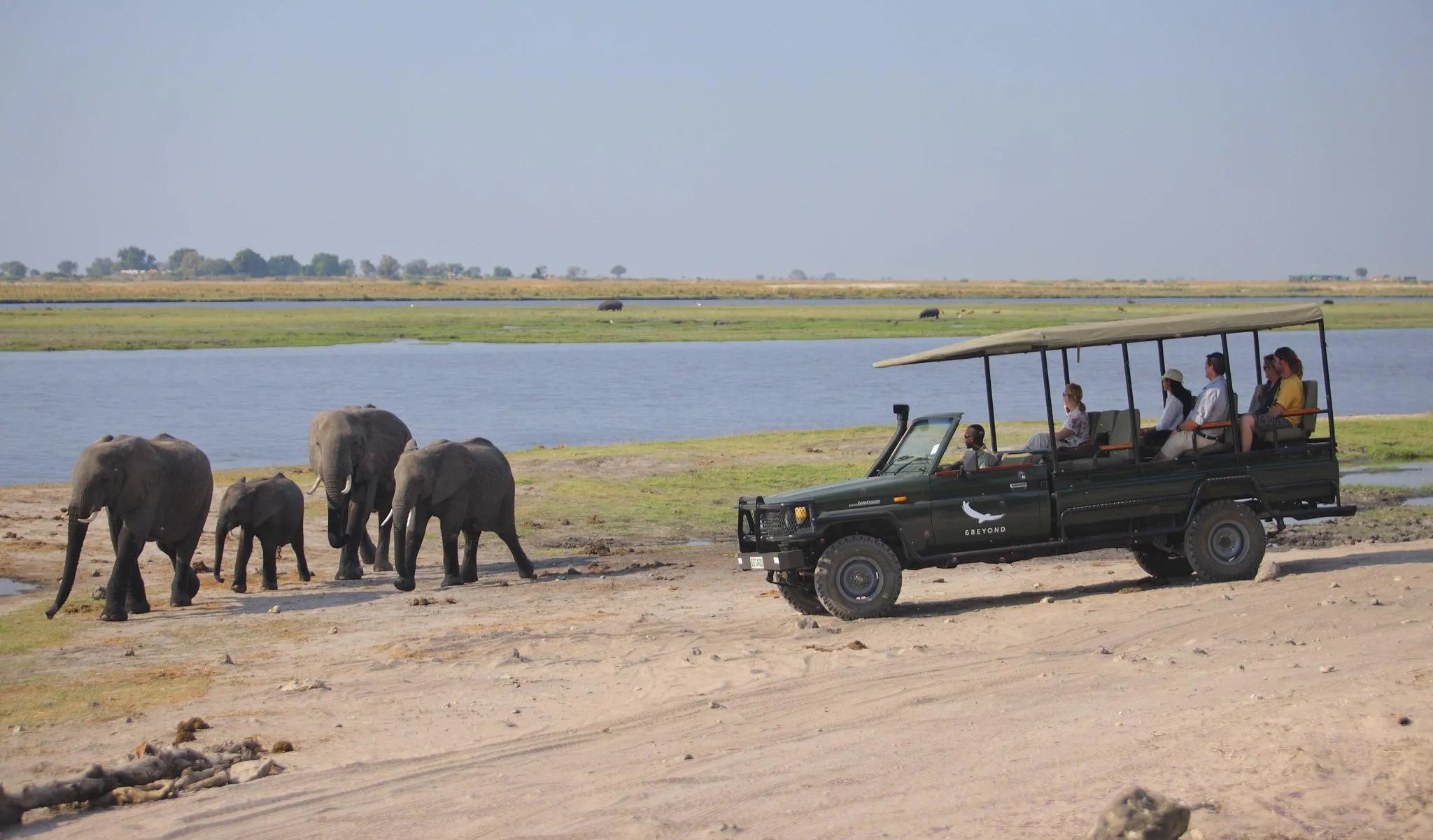 Game Drives (Included)
