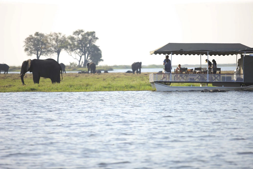 Chobe Under Canvas at andBeyond Chobe Under Canvas, Chobe National Park, Botswana.