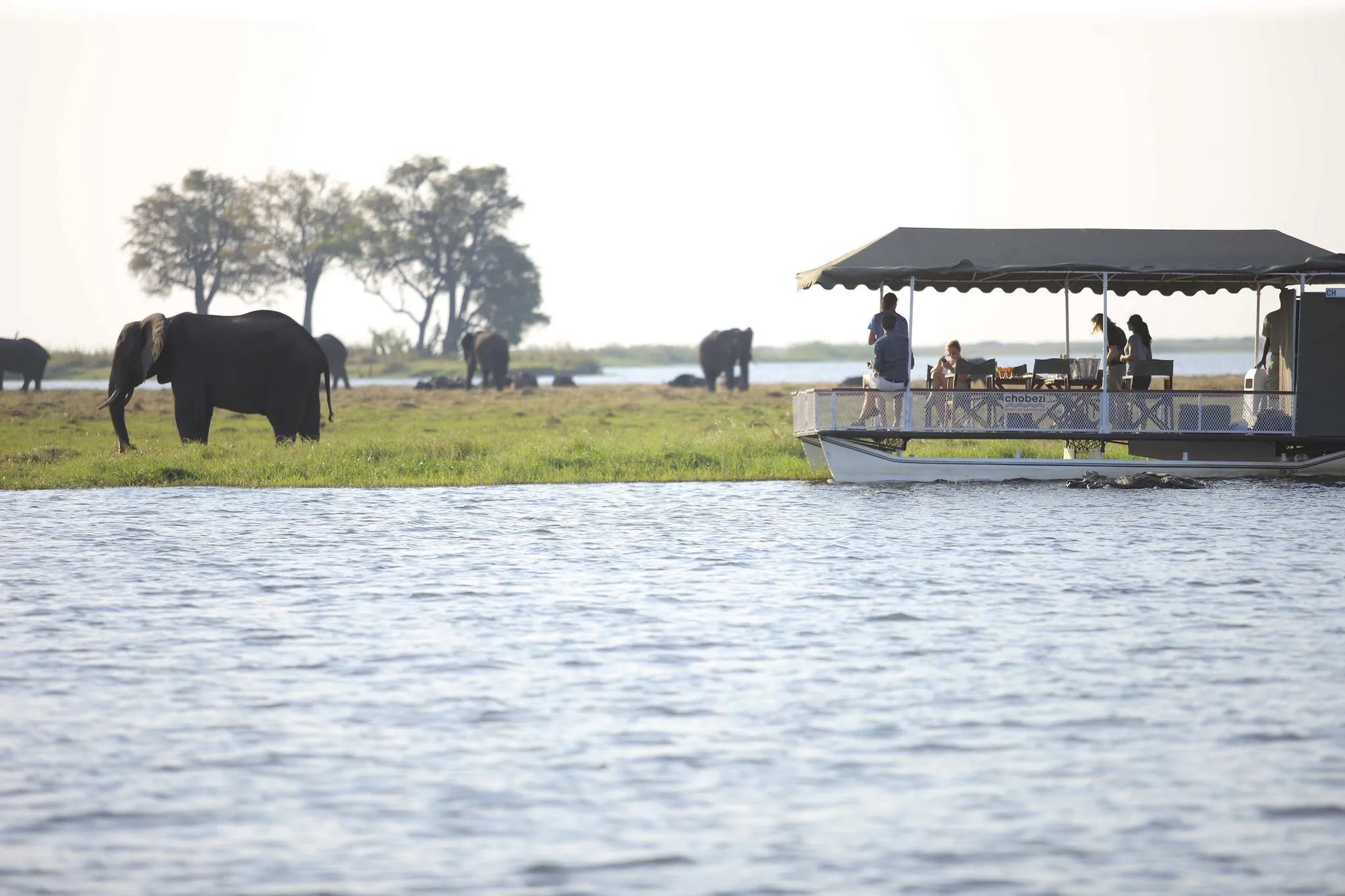 Chobe Under Canvas at andBeyond Chobe Under Canvas, Chobe National Park, Botswana.