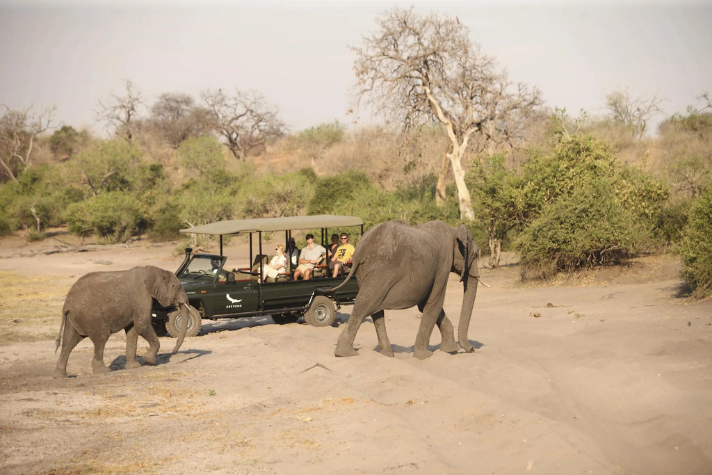 Chobe Under Canvas at andBeyond Chobe Under Canvas, Chobe National Park, Botswana.
