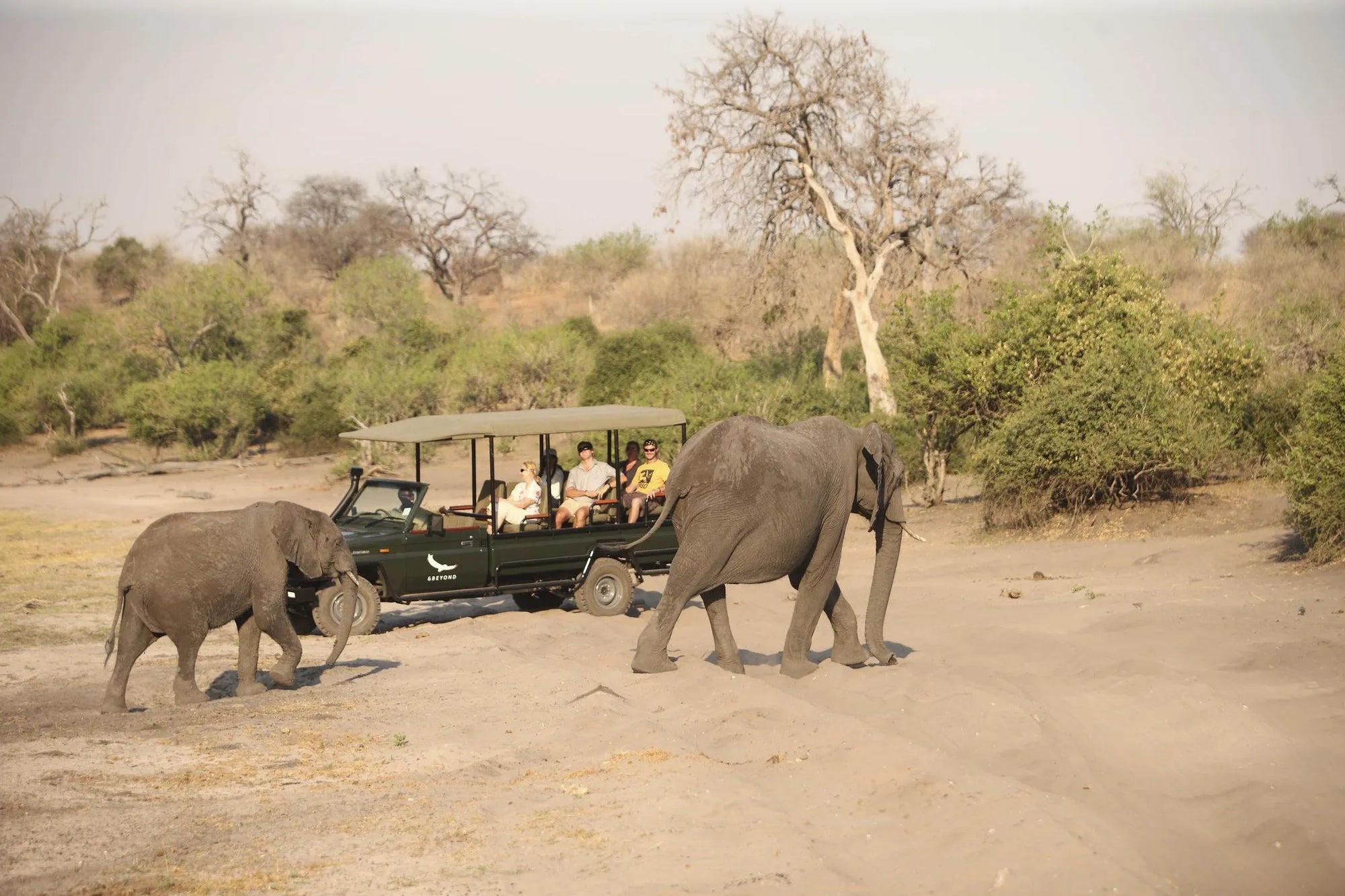 Chobe Under Canvas at andBeyond Chobe Under Canvas, Chobe National Park, Botswana.