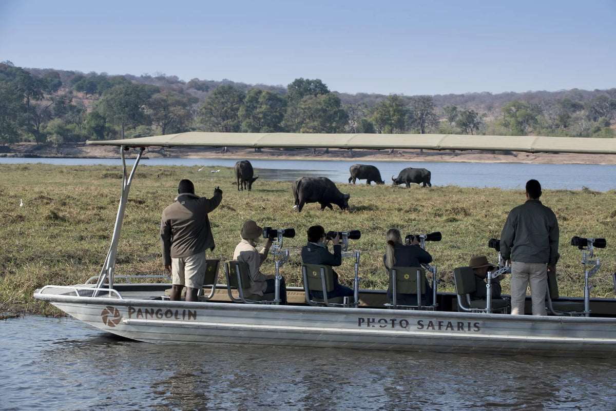 Photographic Safari on the Chobe River