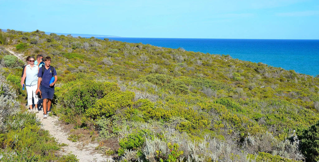 Morukuru Ocean House at Morukuru Ocean House, De Hoop Nature Reserve, South Africa.