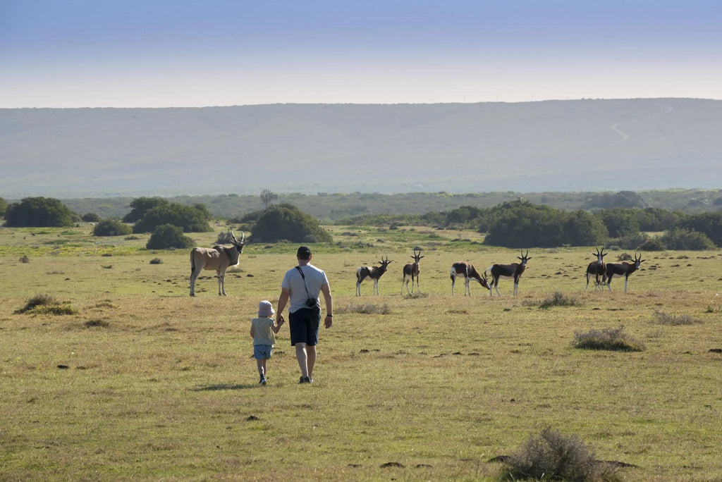 Morukuru Ocean House at Morukuru Ocean House, De Hoop Nature Reserve, South Africa.