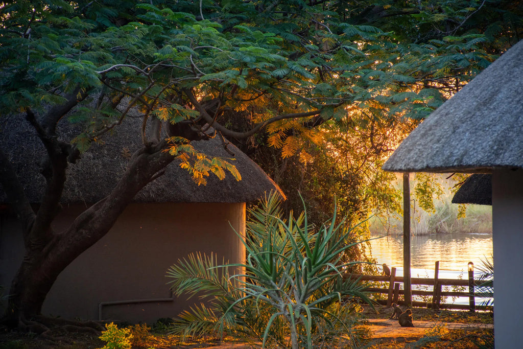 Luxury Rondavels at The Chobe Safari Lodge, Kasane, Botswana.