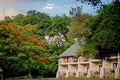 The Chobe Safari Lodge : Luxury Safari Rooms