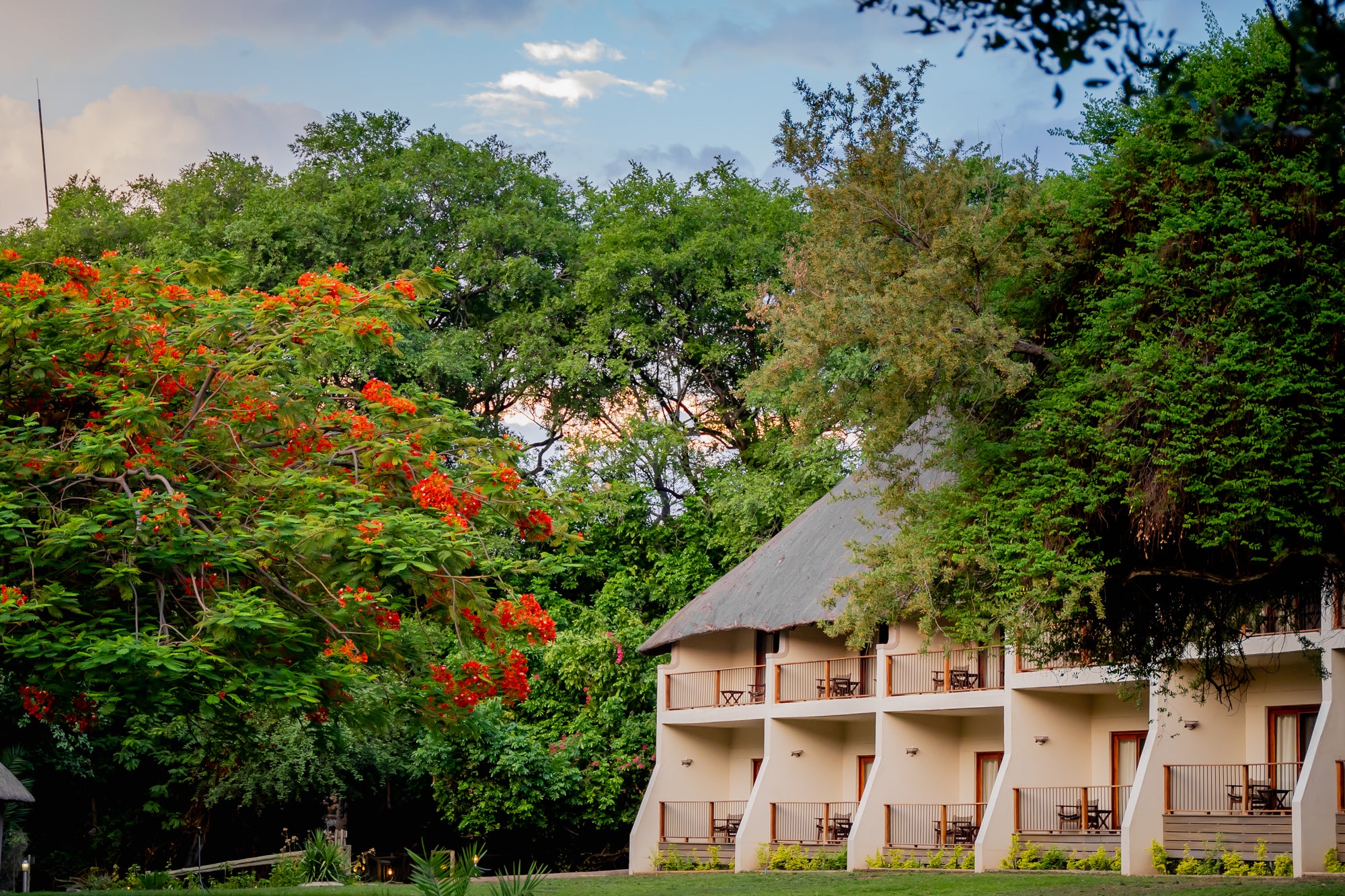 The Chobe Safari Lodge : Luxury Safari Rooms