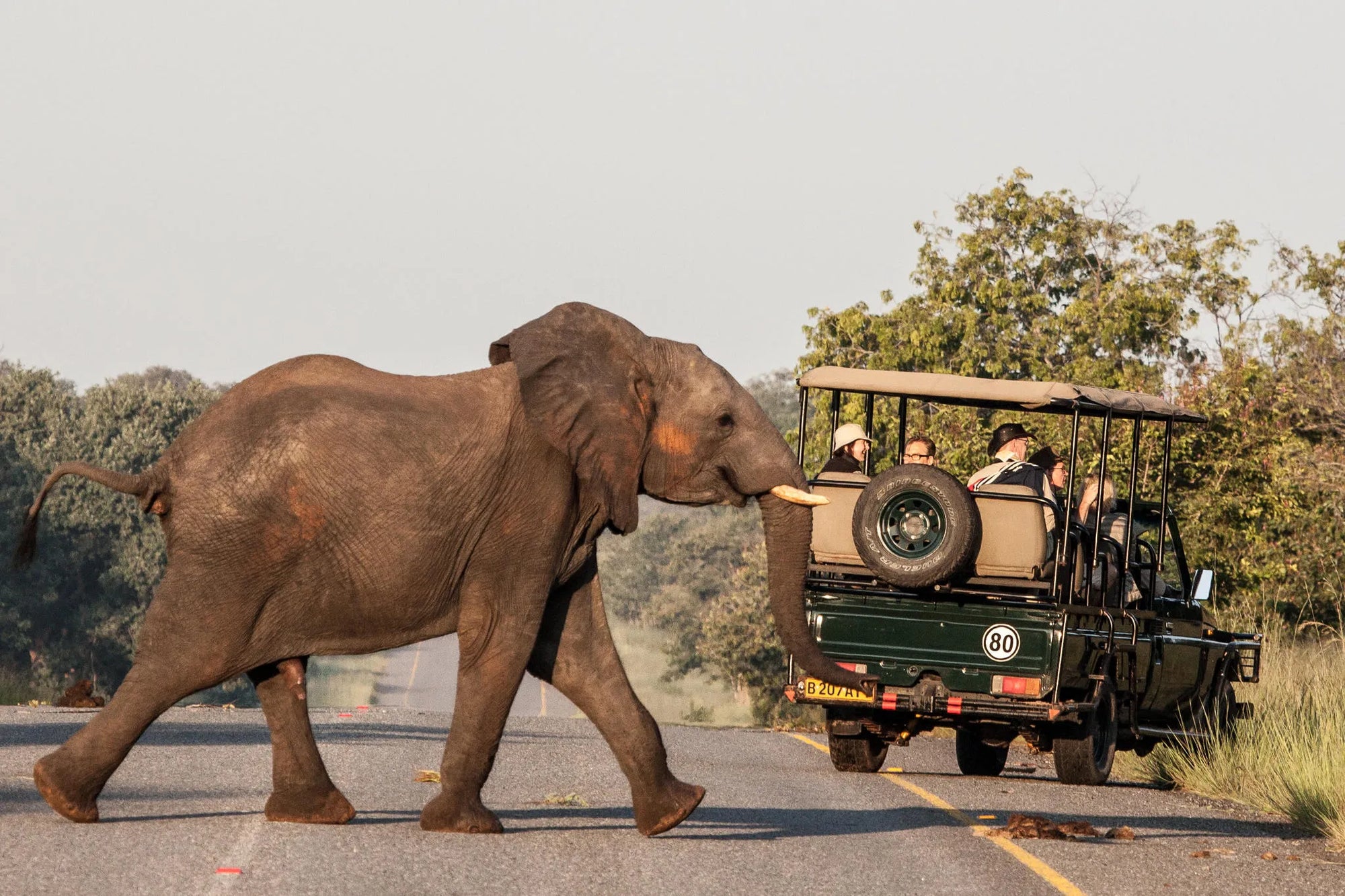 On the way to the park at The Chobe Safari Lodge, Kasane, Botswana.