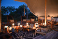 Feline Fields Vintage Camp