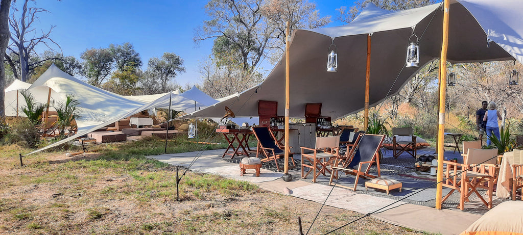 Feline Fields Vintage Camp