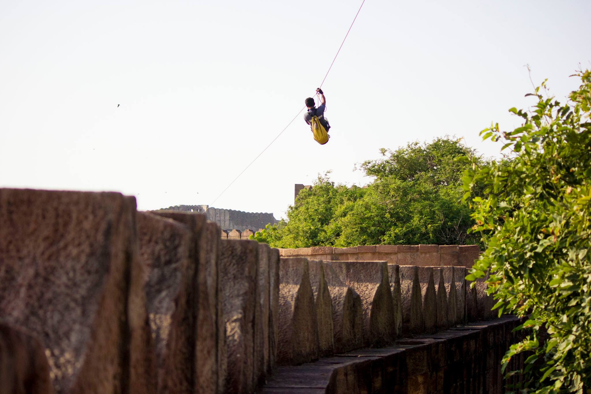 Flying Fox Jodhpur