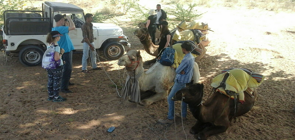 The Sariska Retreat Jeep Safari