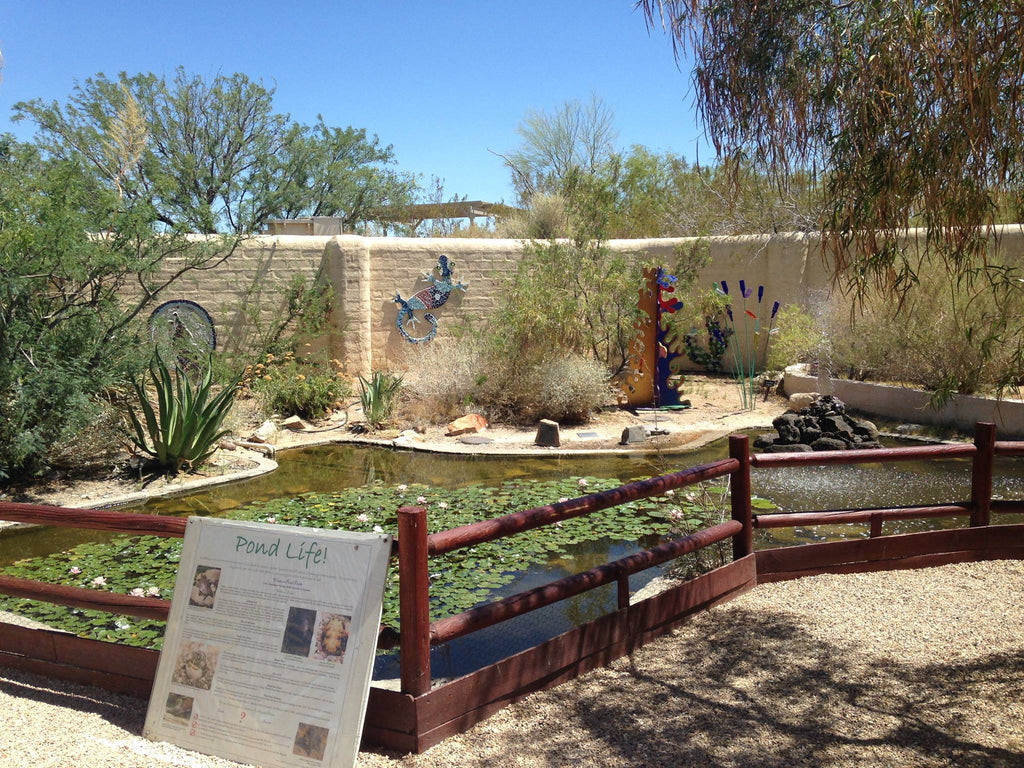 Desert Discovery Center