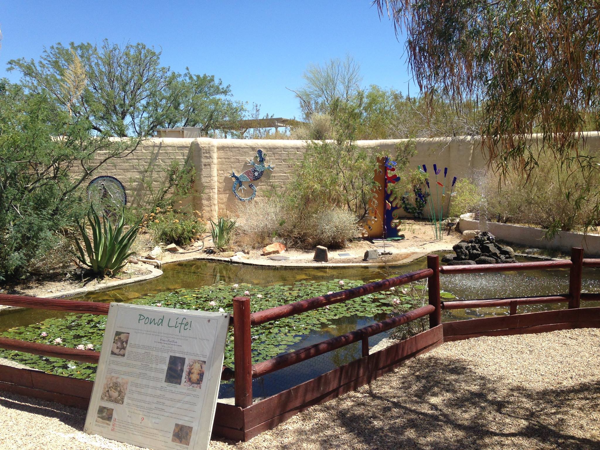 Desert Discovery Center