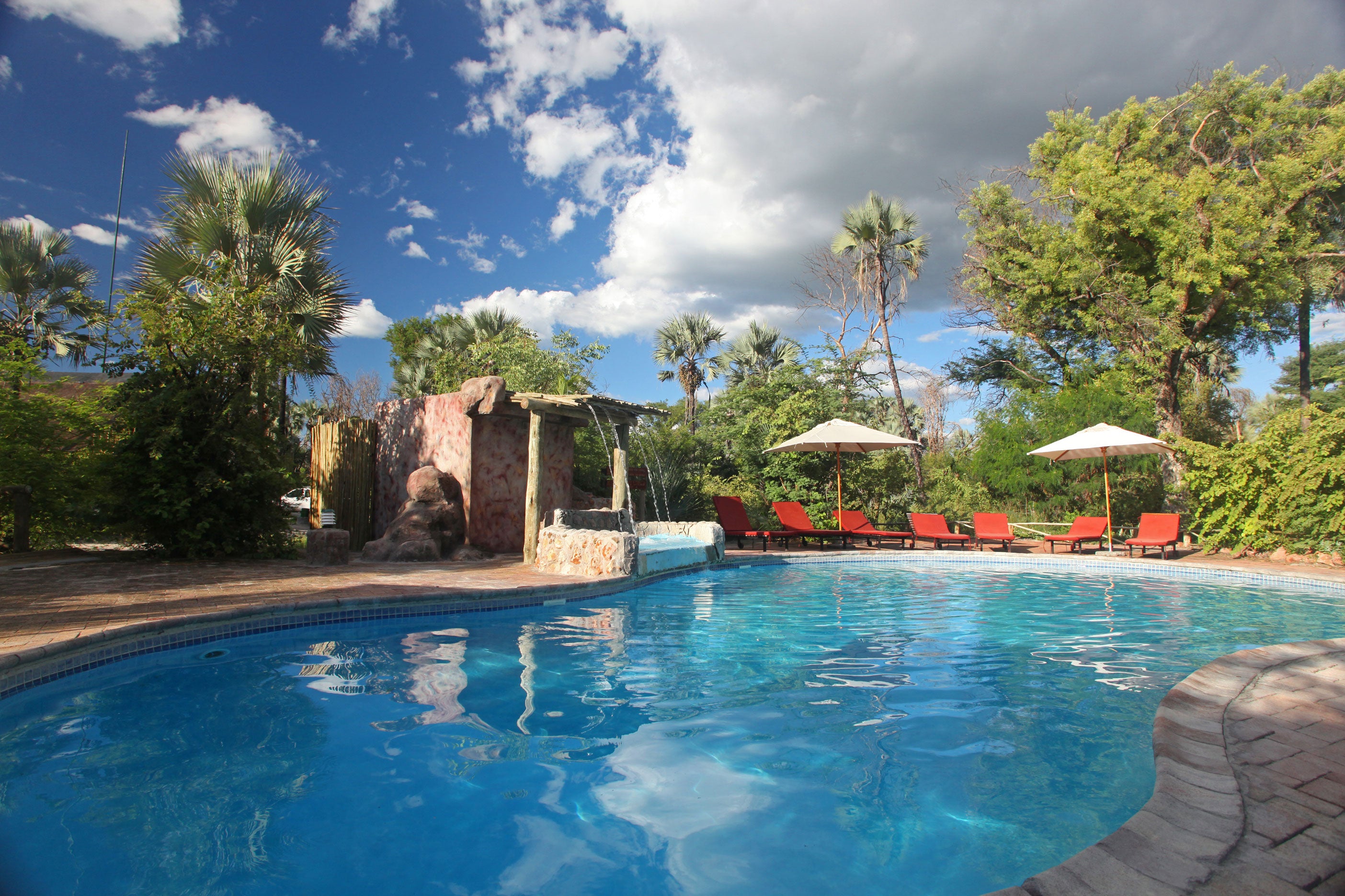 Swimming pool Nata Lodge