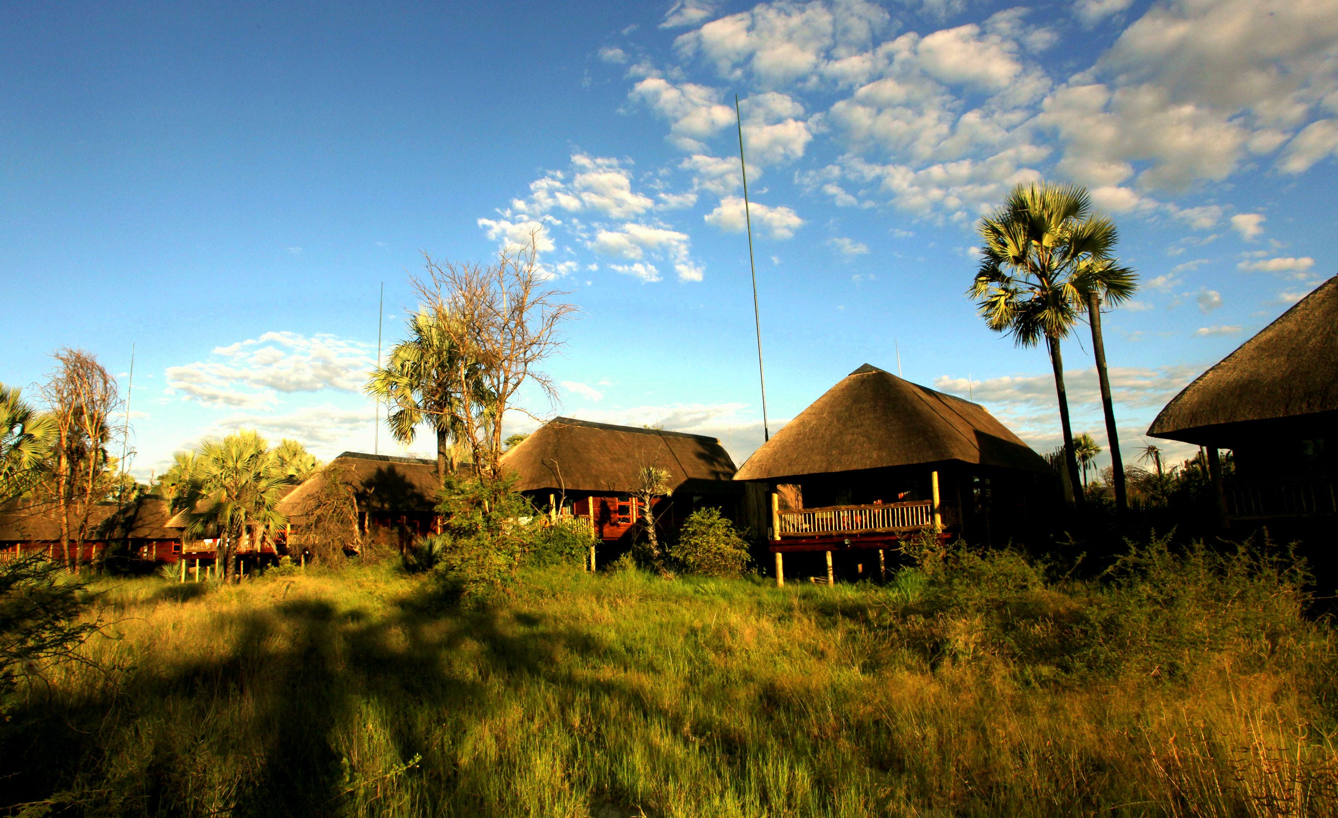 Luxury chalets Nata Lodge