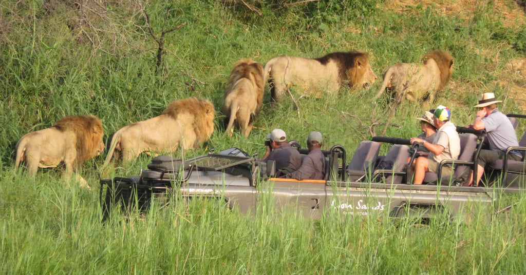 Wildlife