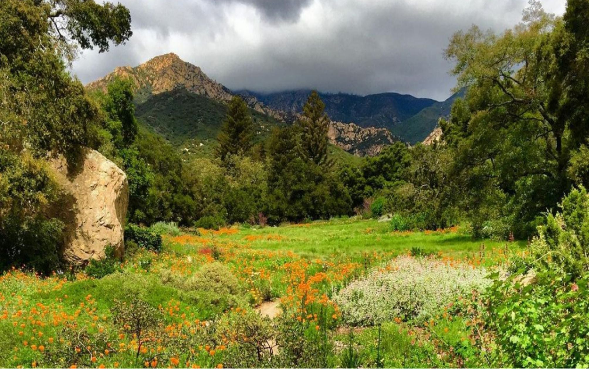 Santa Barbara Botanic Garden