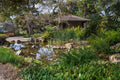 Santa Barbara Botanic Garden