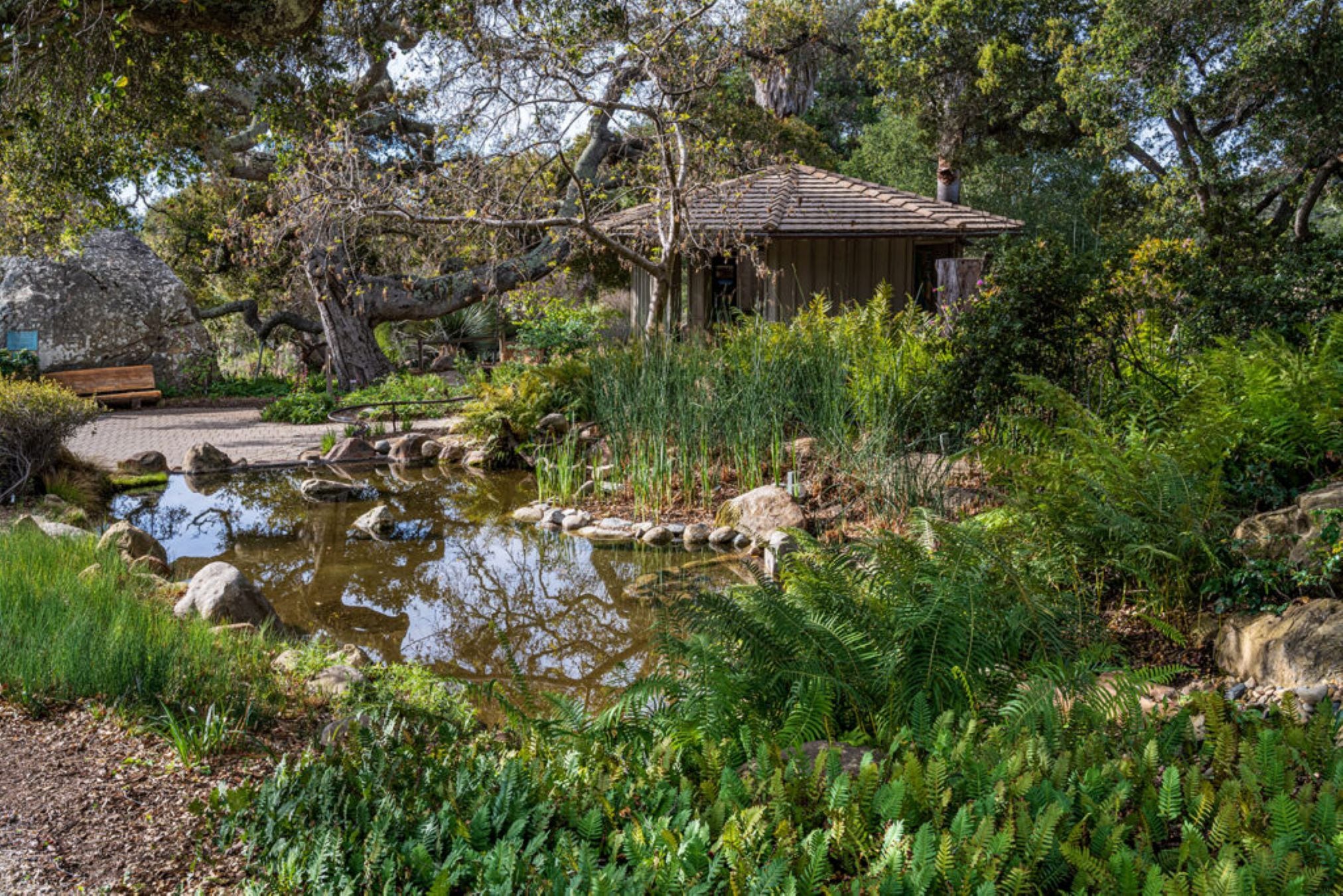 Santa Barbara Botanic Garden