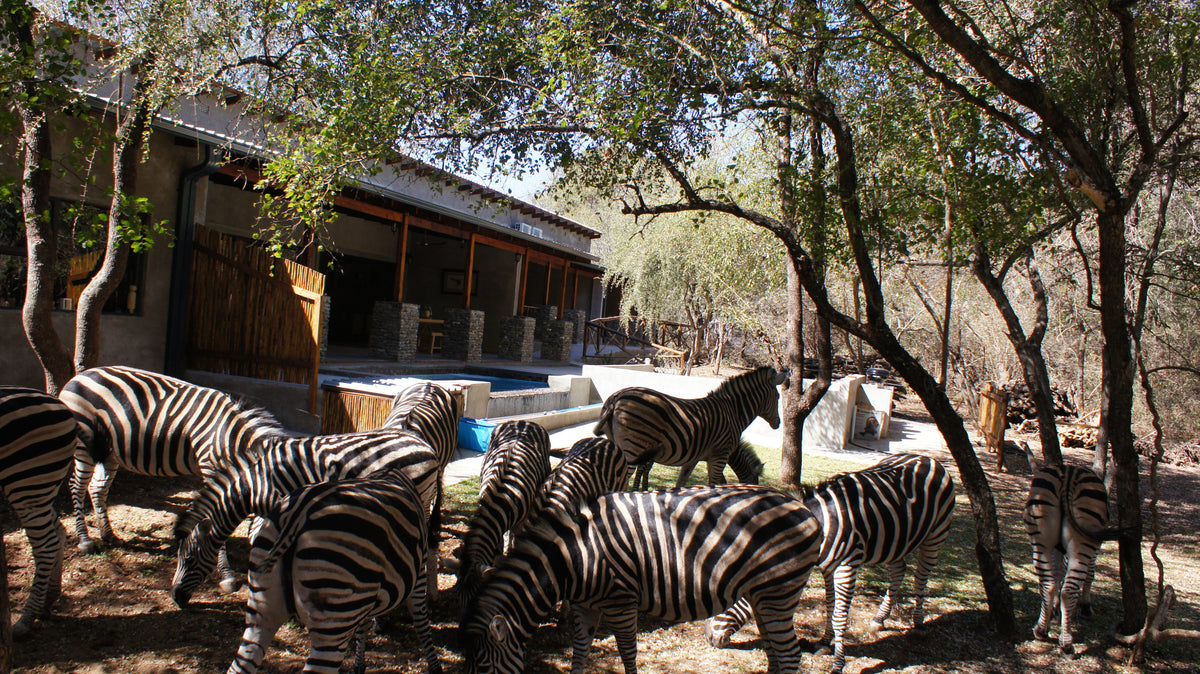 Dream of Africa Bush Lodge