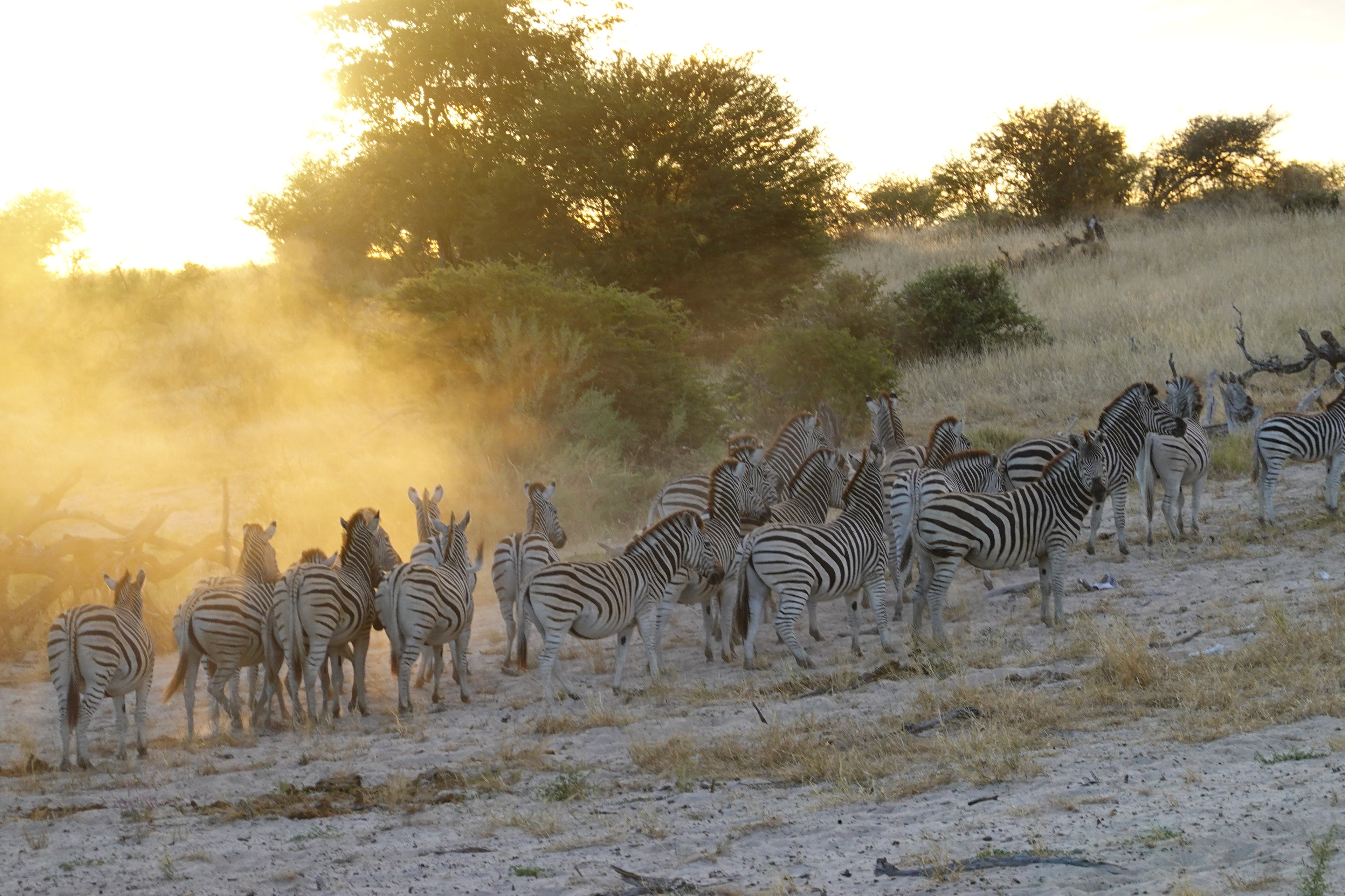 Makgadikgadi Pan National Park