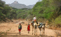 Camel Rides