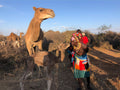 Camel Creche