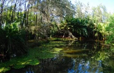 Haller Park Excursion