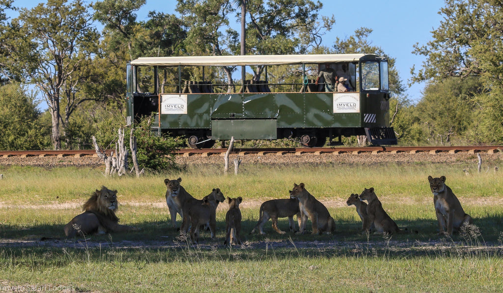Elephant Express rail car gallery image 3