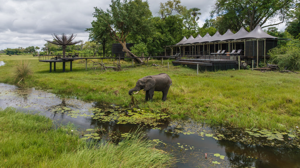 Xigera Safari Lodge