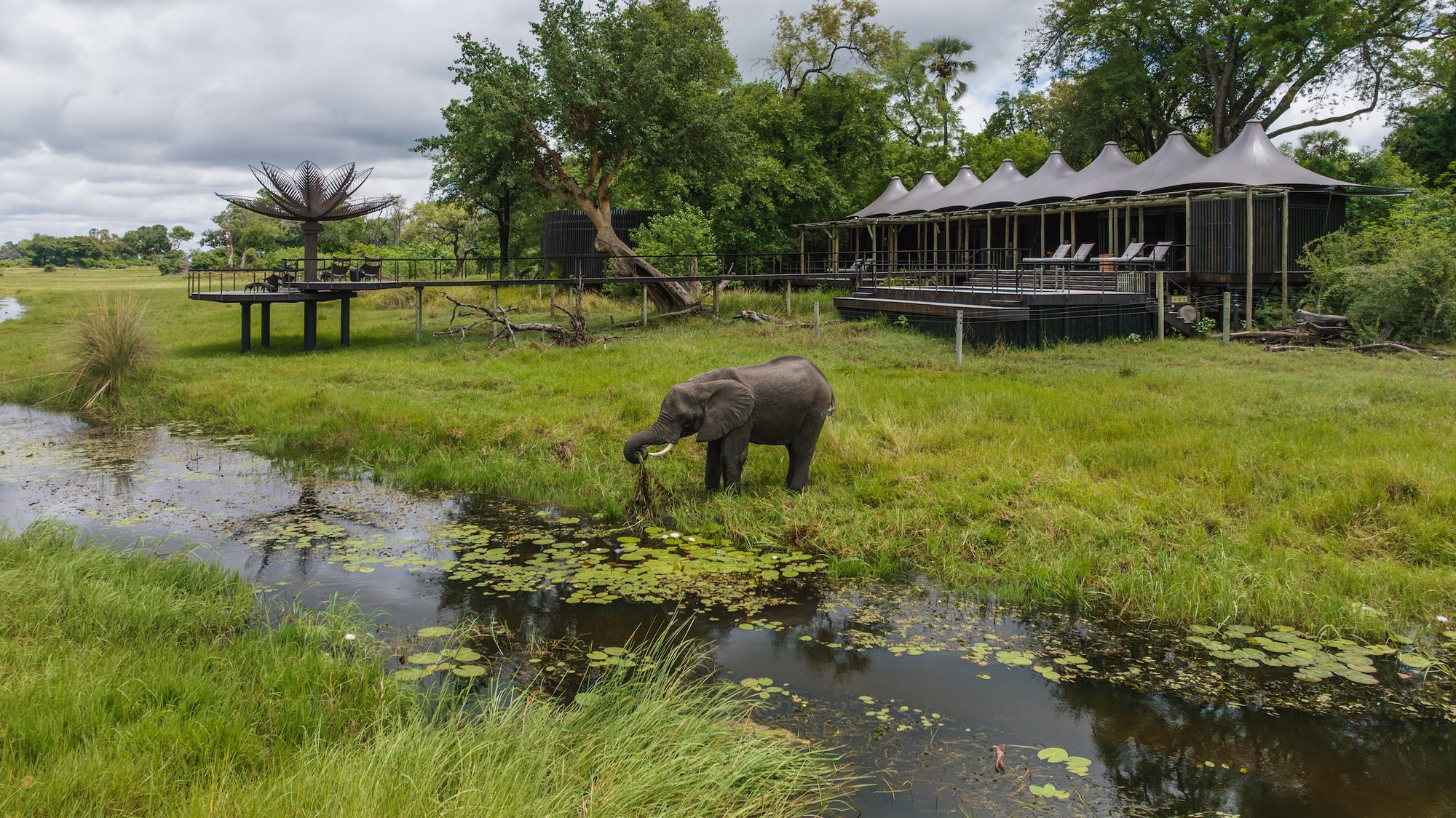 Xigera Safari Lodge