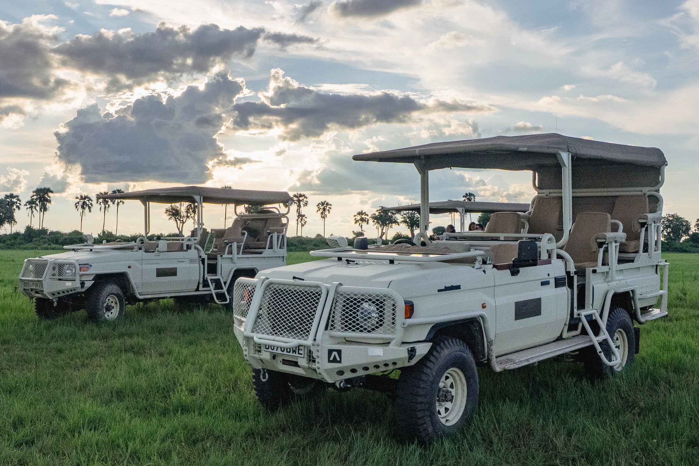Game Drives