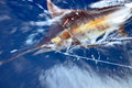 Deep sea fishing