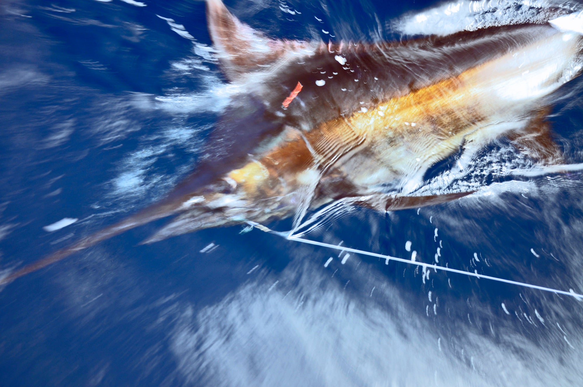 Deep sea fishing
