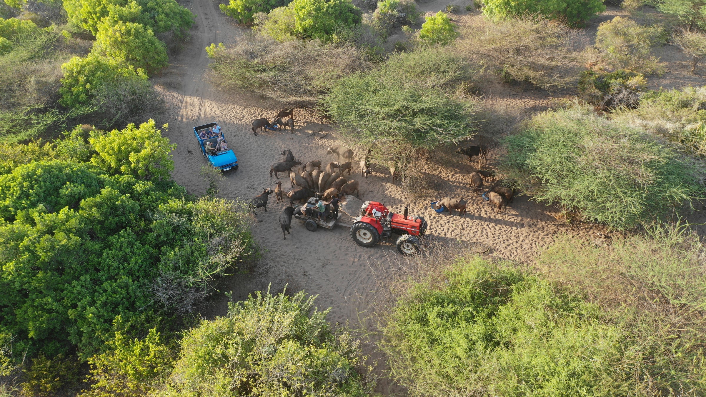 Manda Bay Lodge — Game Drives & WIldlife